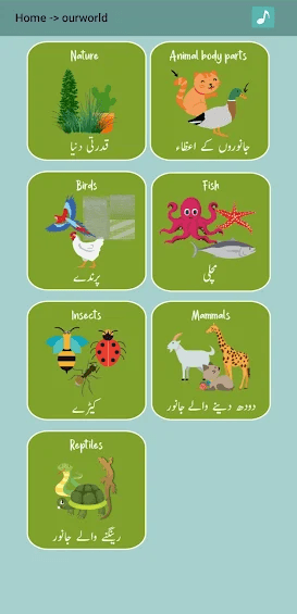 A word card with audio